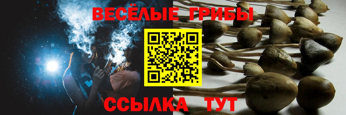 Псилоцибиновые грибы ЛСД Мыски